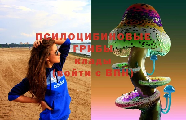 прущая мука Магас