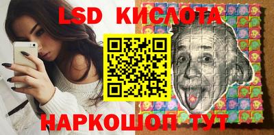 стафф Кандалакша