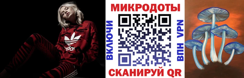 где можно купить   Самара  Псилоцибиновые грибы ЛСД 